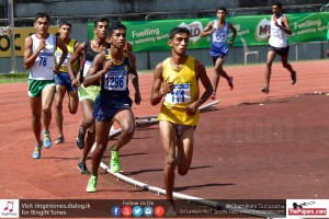 12140139_10154304811634251_4834087715997667073_o 